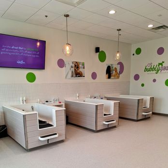 Bubbly Paws, Montgomery