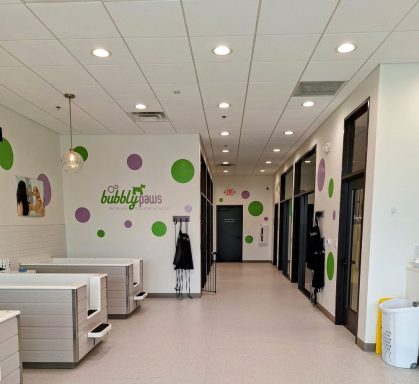 Bubbly Paws, Montgomery